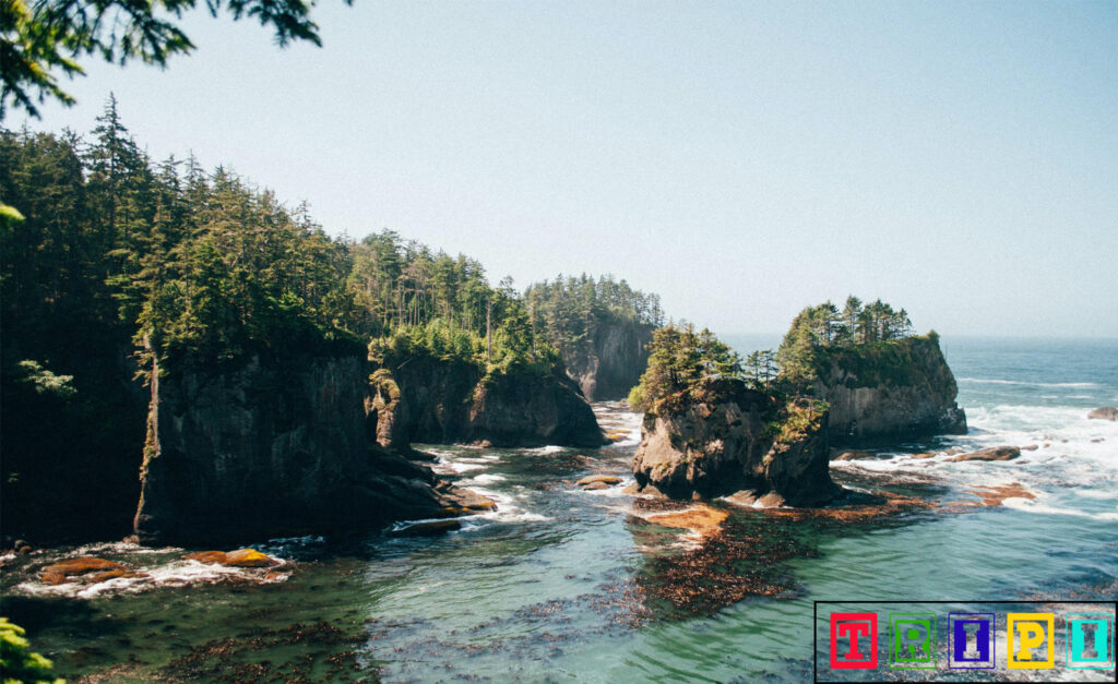 Cape Flattery: The Northwestern Tip of the Continental U.S.