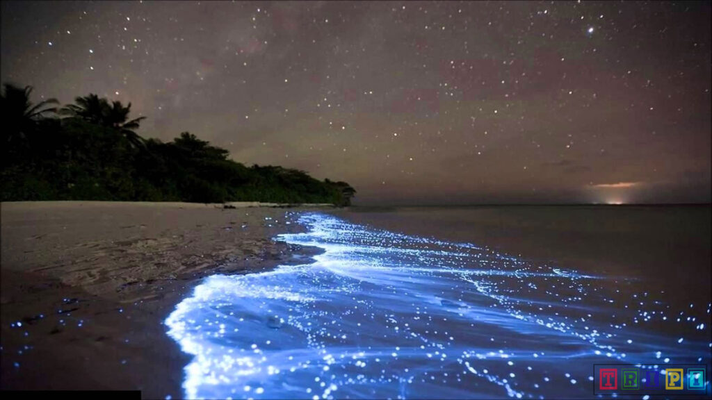 Vaadhoo Island, Maldives